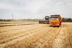 Ставропольскую продукцию экспортируют в 65 стран мира