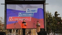 Ставропольские муниципалитеты приняли участие в праздновании Крымской весны