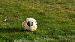 В 63 ставропольских школах начнут проходить уроки по футболу