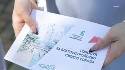 Более 1,5 тыс. апанасенковцев проголосовали за проекты благоустройства 