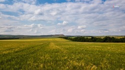 В 2022 году земельный фонд на Ставрополье превысил один миллион гектаров