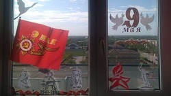 В Апанасенковском округе поддержали патриотическую акцию «Окна Победы»