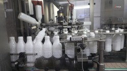 На 15% выросли поставки ставропольской сельхозпродукции в страны зарубежья