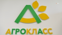 Первые агроклассы открыли в Апанасенковском округе