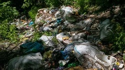 На Ставрополье продолжается борьба с незаконными свалками