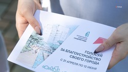 Свыше 3 тыс. жителей Апанасенковского округа проголосовали за проекты благоустройства