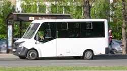 Новый регулярный маршрут запустили в Апанасенковском округе