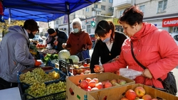 На Ставрополье создадут дополнительные площадки для продуктовых мини-рынков
