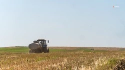 Уборочная кампания завершилась в десяти округах Ставрополья